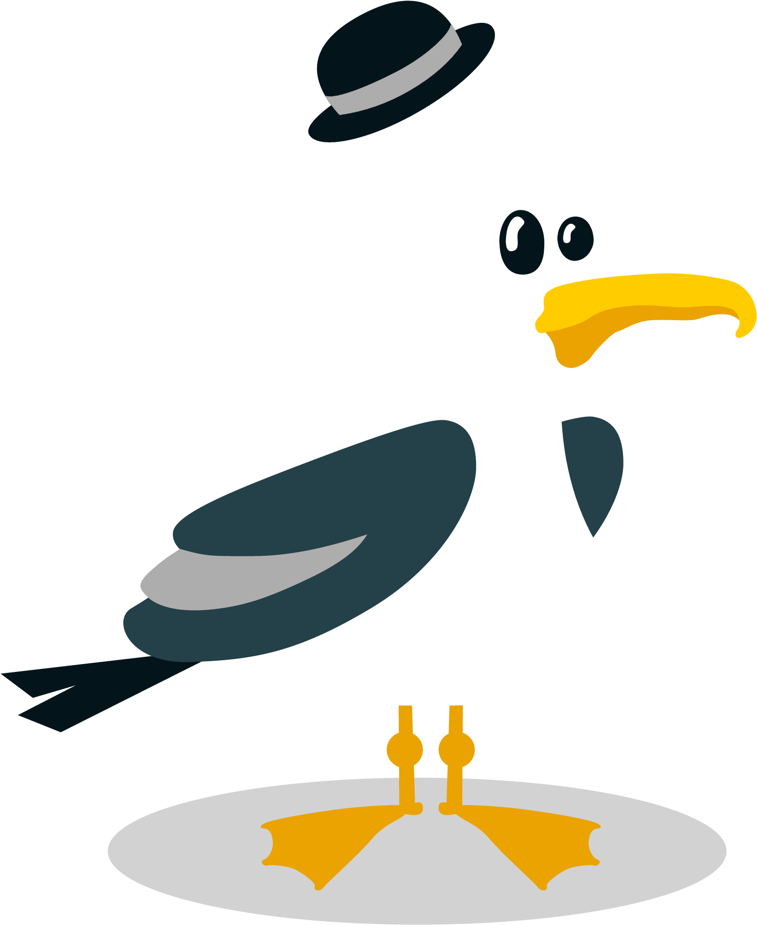 Support Erie - Support Erie (2000x2000)