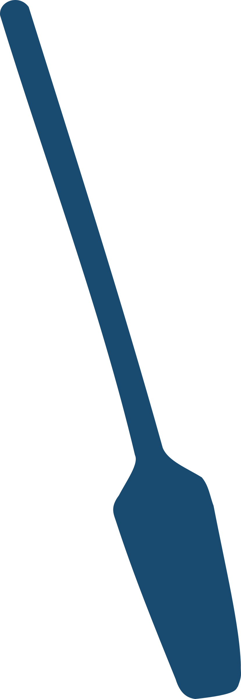 Paddle - Paddle (829x2400)