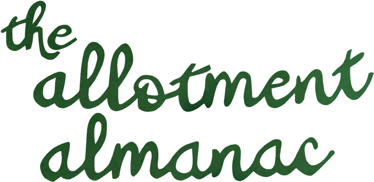 Title Collage Lettering - Title Collage Lettering (800x397)