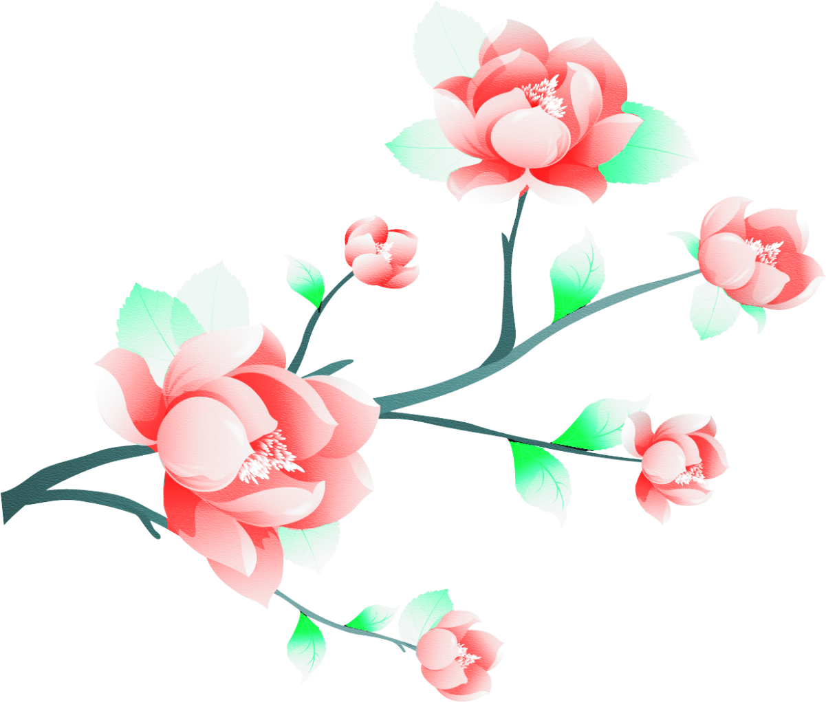 Branche Fleurie - Branche Fleurie (1229x1045)