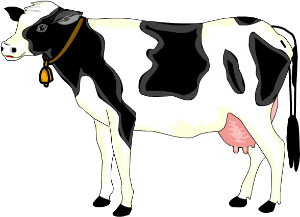Vaca - Vaca (688x461)