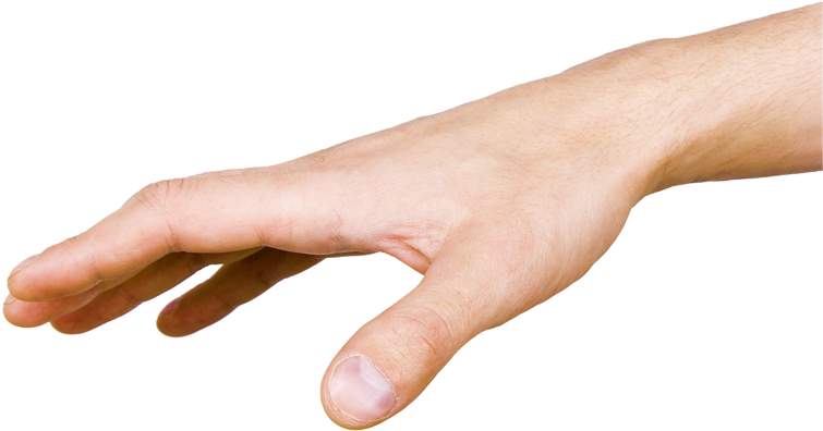 Hands - Google Search - Hands - Google Search (781x417)