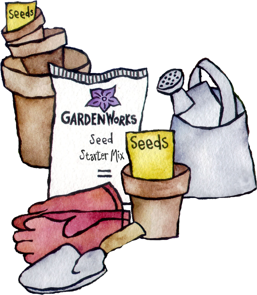 Seed Starting - Seed Starting (1114x1250)