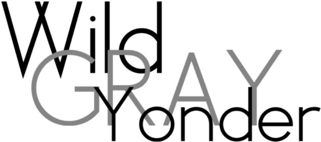 Wild Gray Yonder - Wild Gray Yonder (700x363)