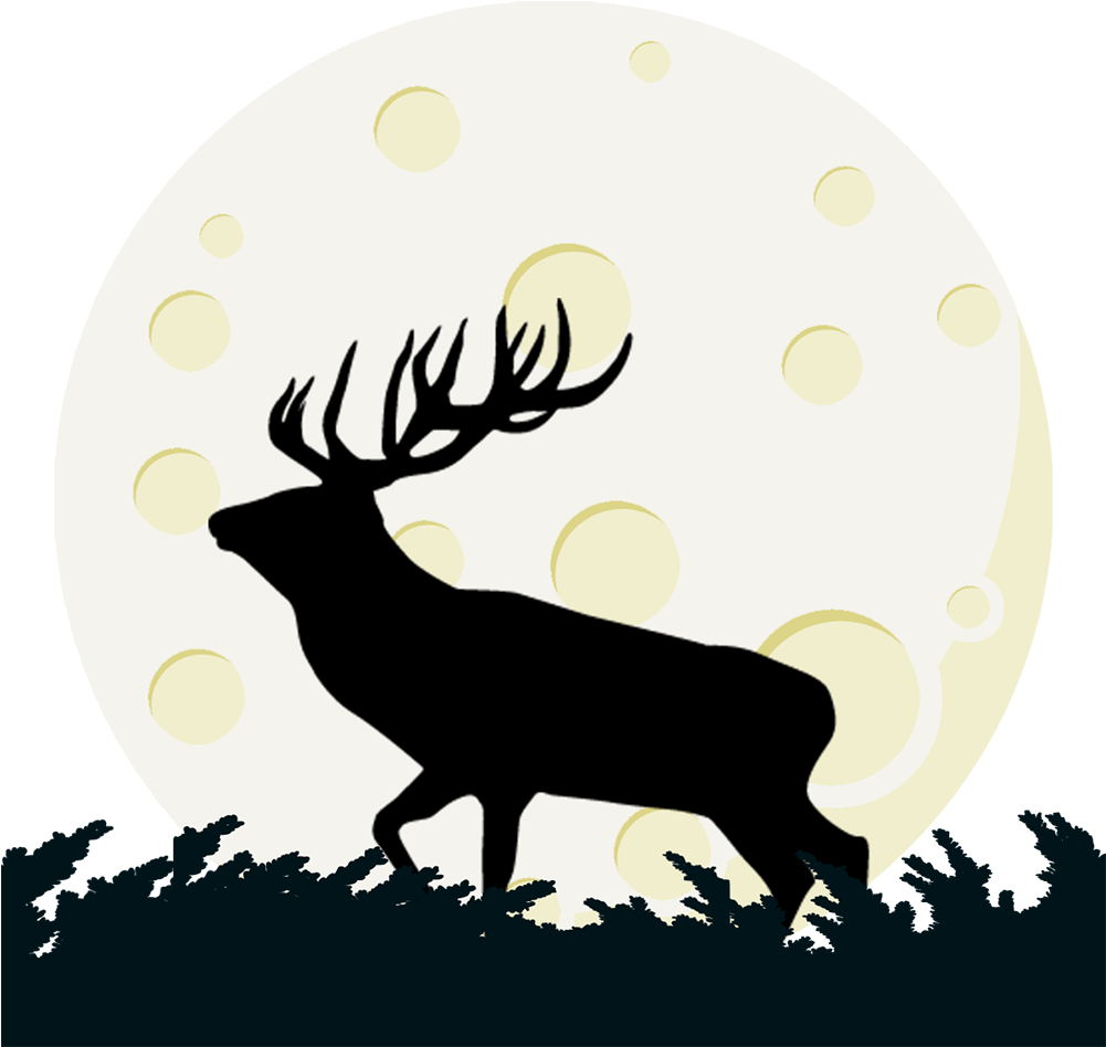 Score 50% - Score 50% (1000x1000)