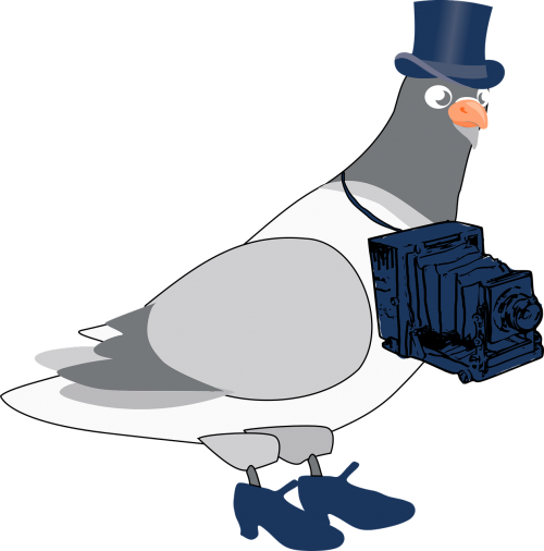 Vector Graphics - Vector Graphics (500x506)