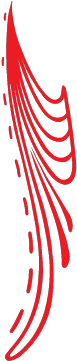 Tribal Design - Tribal Design (480x360)