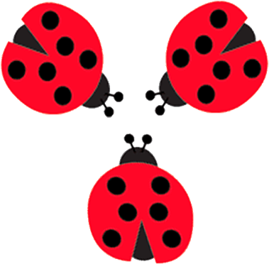 Ladybug - Ladybug (600x512)