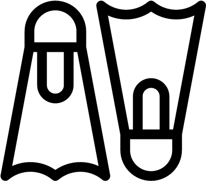 Two Flippers Vector - Two Flippers Vector (400x400)