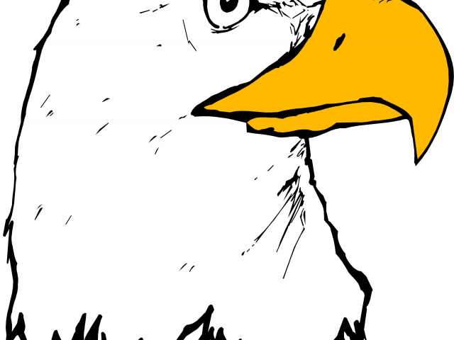 Ray Clipart Eagle Ray - Ray Clipart Eagle Ray (640x480)