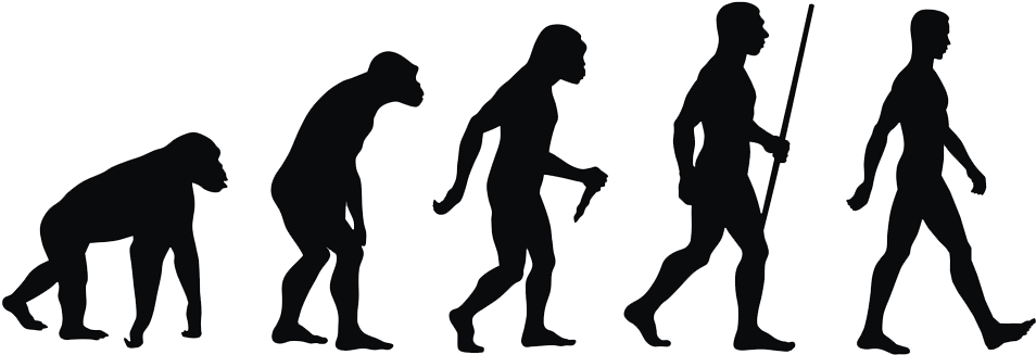 Evolution Transparent Chain Human - Evolution Transparent Chain Human (1000x383)