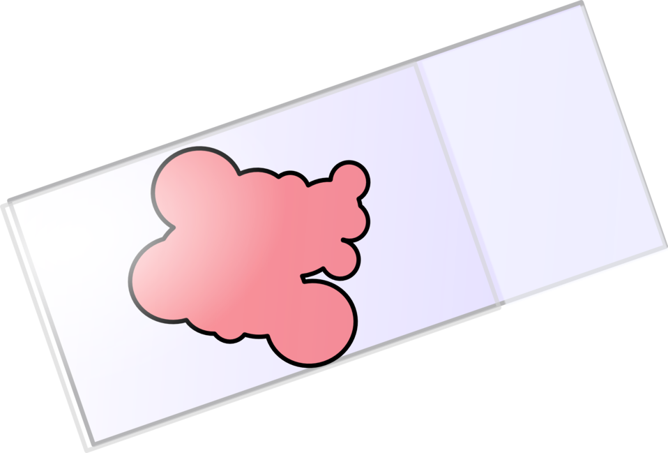 Coverslipped Slides - Coverslipped Slides (958x649)