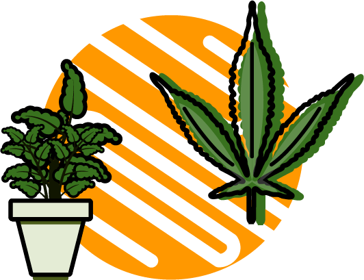 Hybrid - Hybrid (532x409)