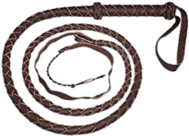 Brown Whip - Brown Whip (400x400)