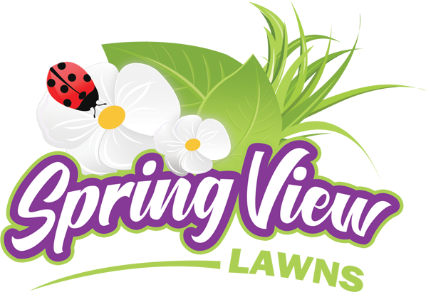 Spring View Lawns Logo - Spring View Lawns Logo (598x411)