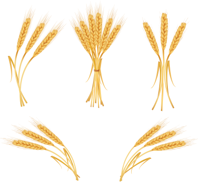 Wheat - Wheat (400x368)