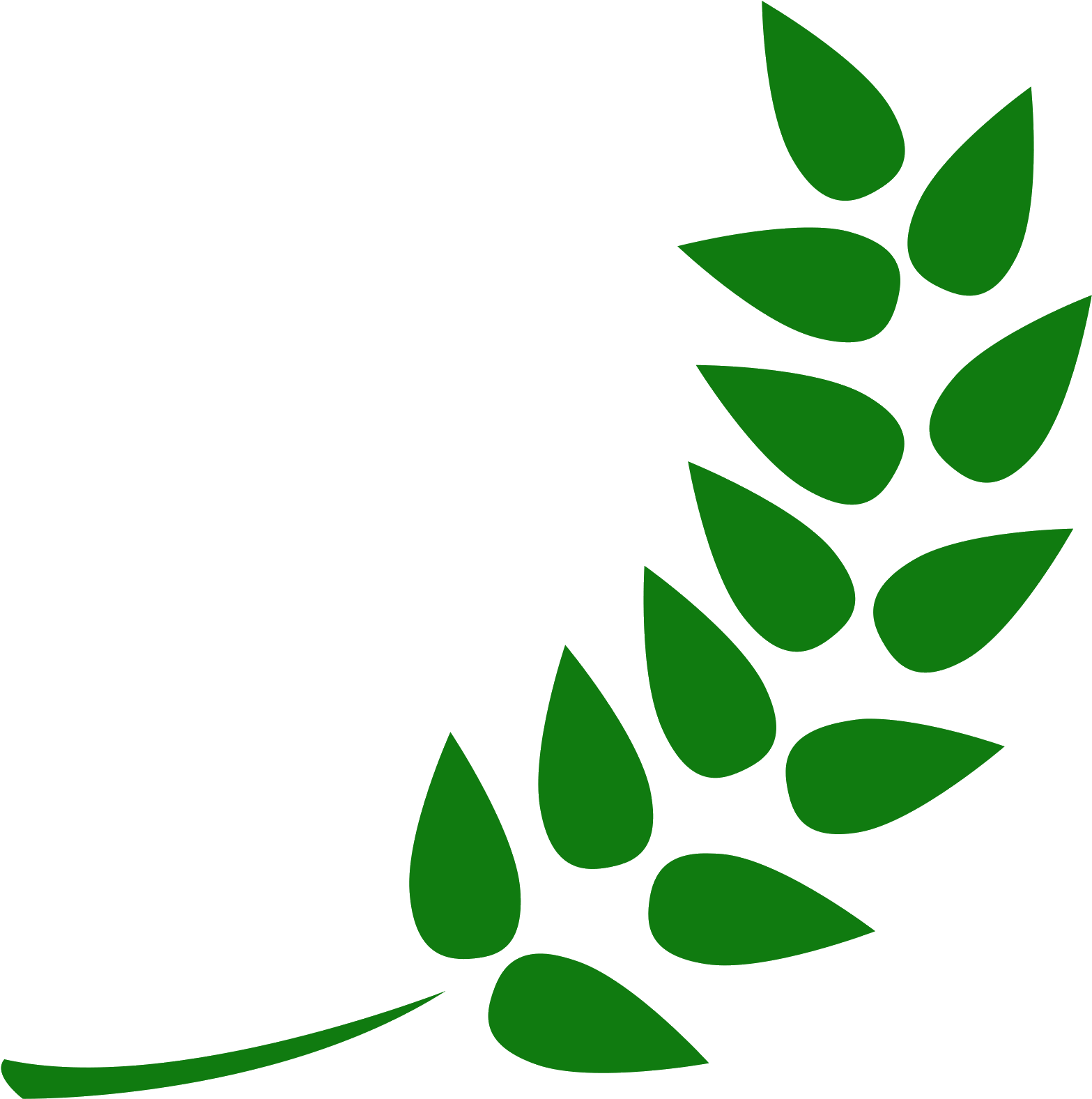 Vector Hops Barley - Vector Hops Barley (1600x1600)