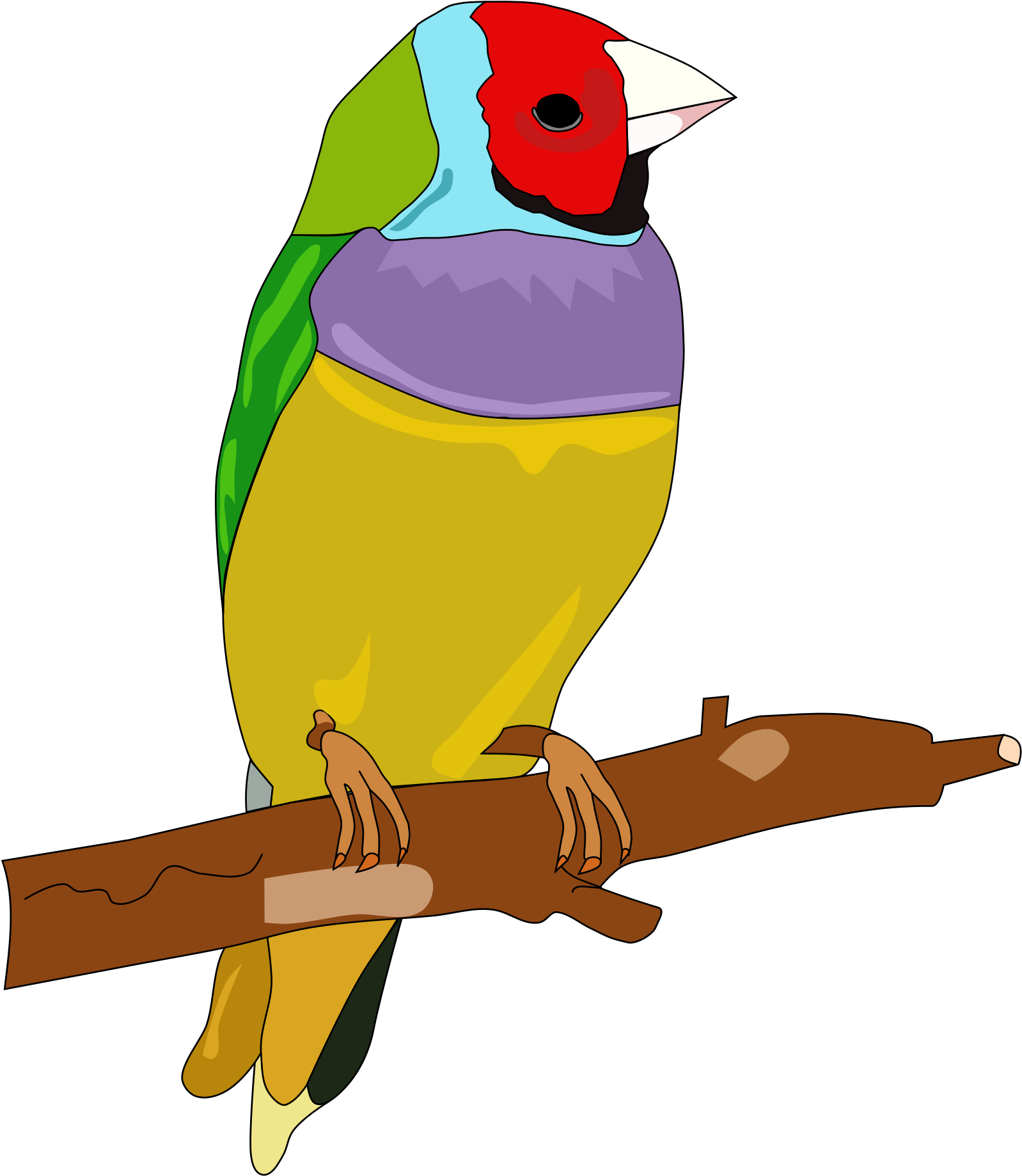 Clipart - Passerine (1697x2400)