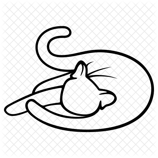 Cat Icon - Icon (512x512)