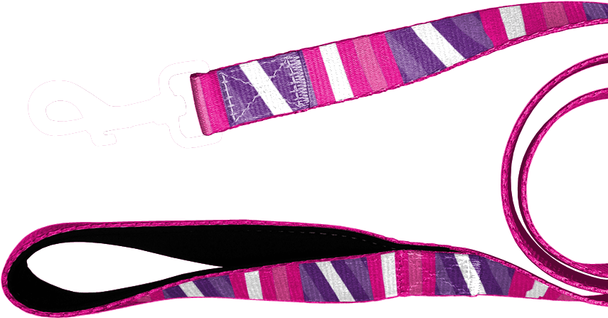 Juno Dog Leash - Juno Dog Leash (880x500)