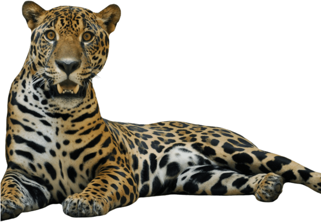 Lying Down Clipart Mountain - Lying Down Clipart Mountain (640x480)