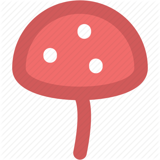 Vector Mushroom Oyster - Vector Mushroom Oyster (512x512)