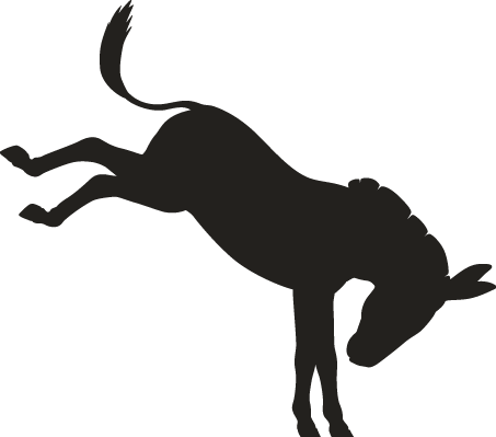Mules-01 New - - Mules-01 New - (453x399)