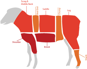Lamb - Lamb (470x319)