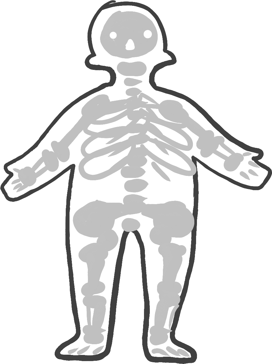 Skeletal System - Skeletal System (2560x1600)