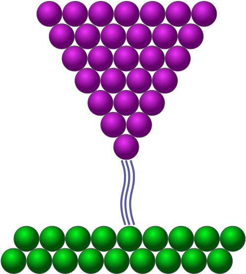 Scanning Tunnelling Microscopes Use A Very Sharp Tip - Scanning Tunnelling Microscopes Use A Very Sharp Tip (520x570)