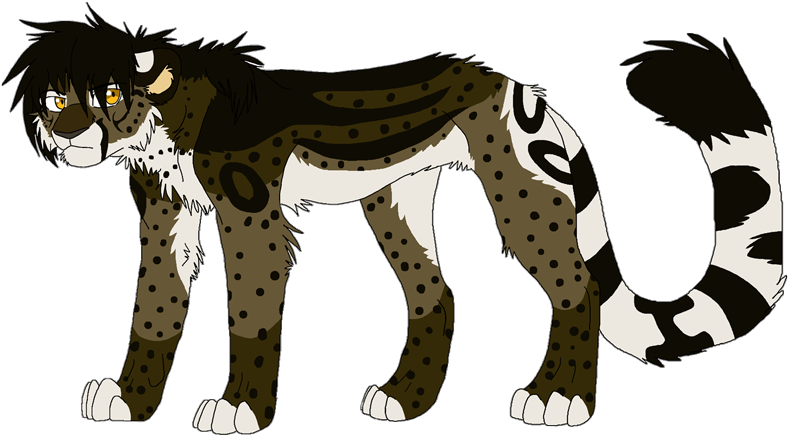 Big Cats - Big Cats (800x443)