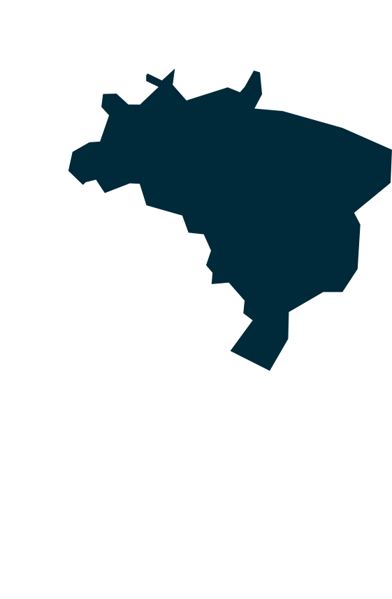 Brazil - Brazil (800x860)
