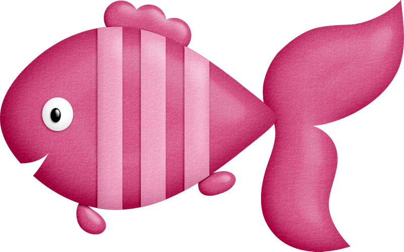Clip - Clip (800x499)