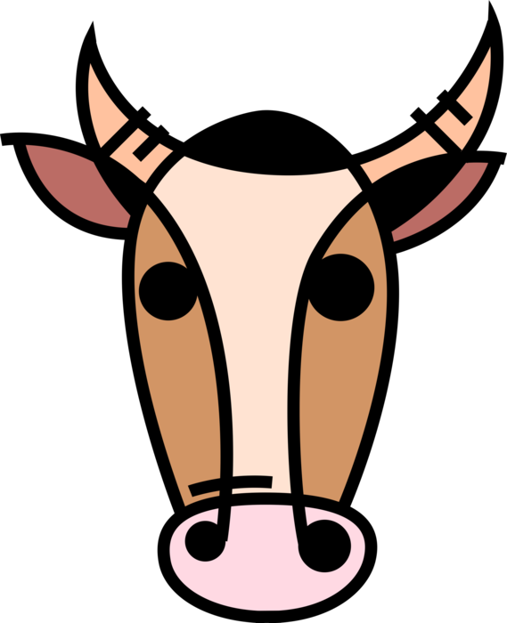 Vector Bull Head - Vector Bull Head (569x700)