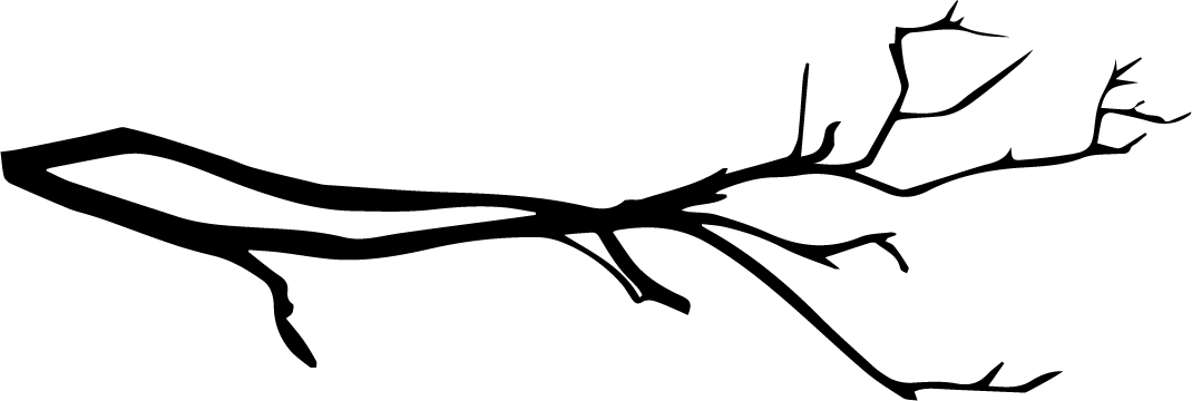 Branch - Branch (1070x360)