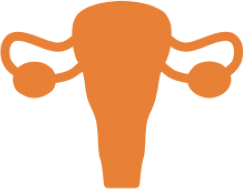 Surrogacy - Surrogacy (480x480)
