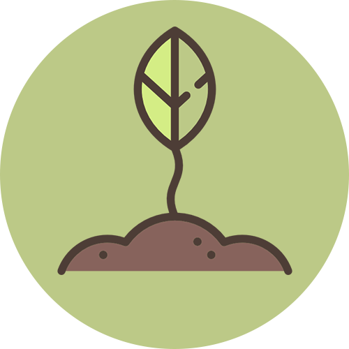 Vegan - Vegan (500x500)