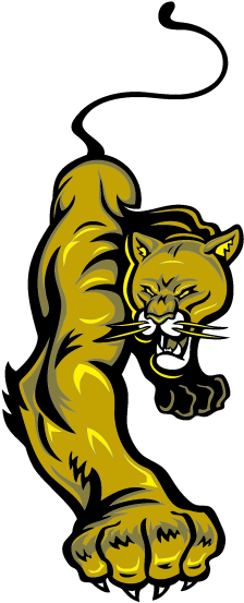Cougar - Cougar (800x800)