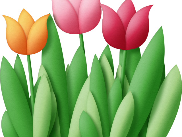 Tulip Clipart Easter - Tulip Clipart Easter (640x480)