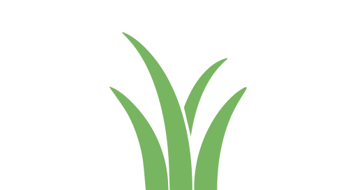 Wetland Mitigation - Wetland Mitigation (500x280)