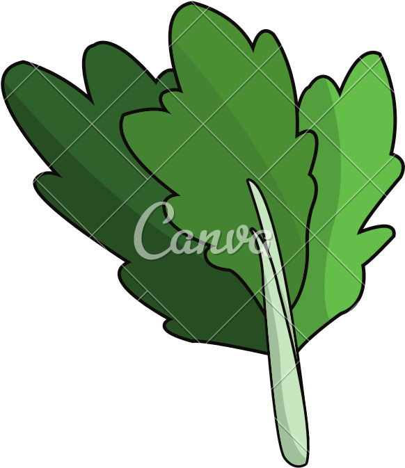Celery Vegetable Vector - Celery Vegetable Vector (800x800)