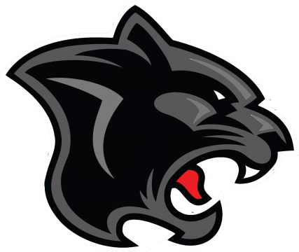 Panther - Panther (427x360)