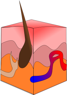 Figure - Figure (640x305)