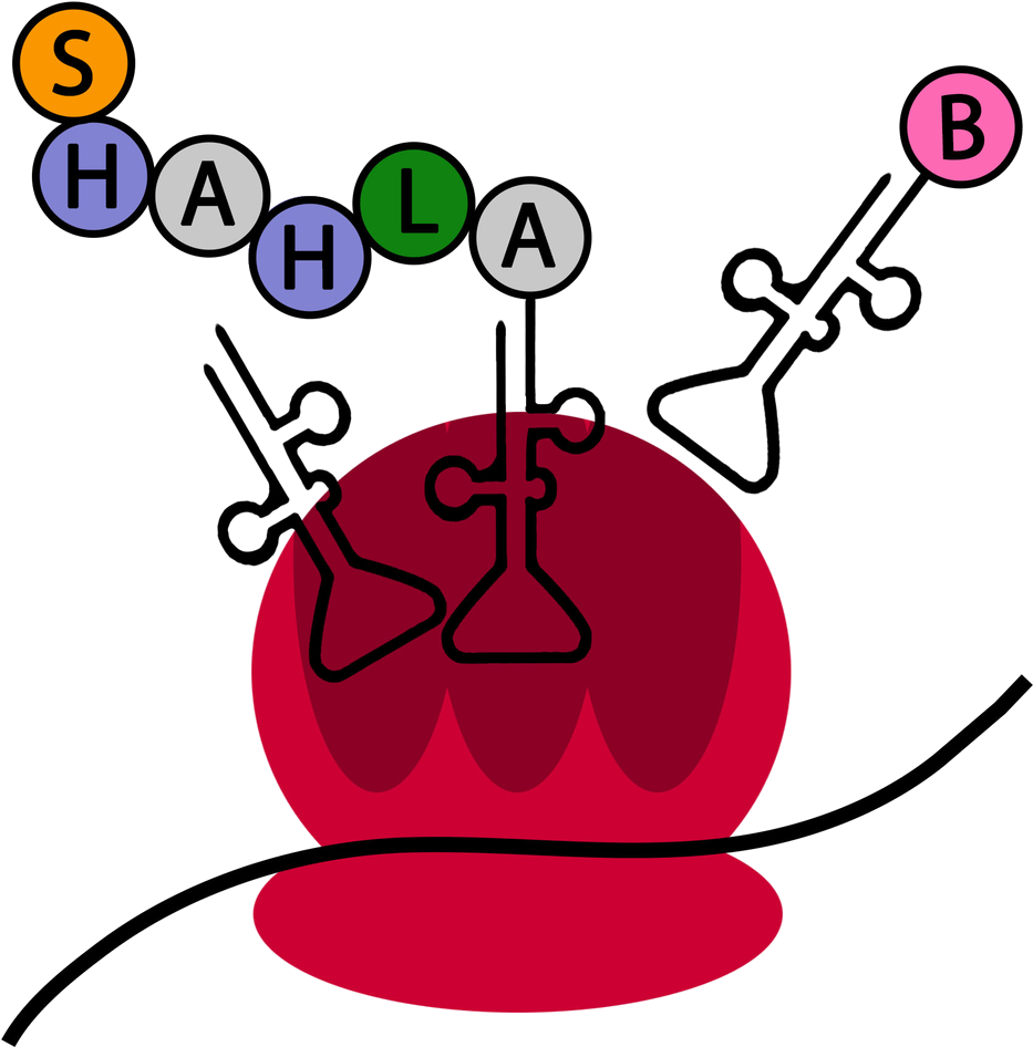 Shah Lab - Shah Lab (1000x1000)