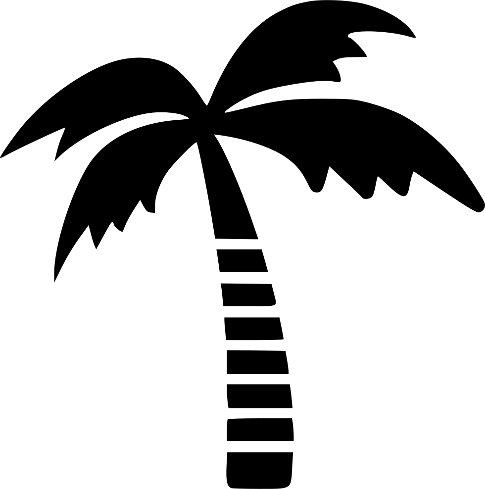 Coconut Tree Comments - Vector Coconut Tree Png (980x988)