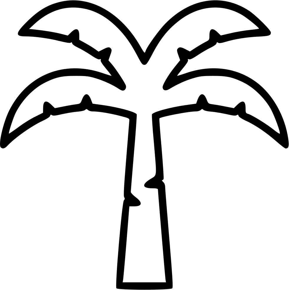Coconut Tree Comments - Tree (981x984)