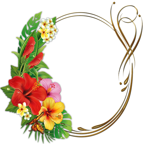 Template - Frame Tropical Png (500x500)