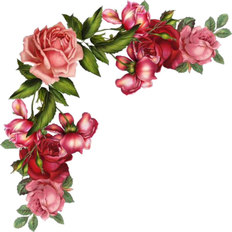 Free Digital Images Vintage, Gif And Clip Art - Vintage Red Rose Border (800x800)