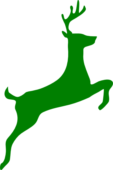 Nara (396x595)