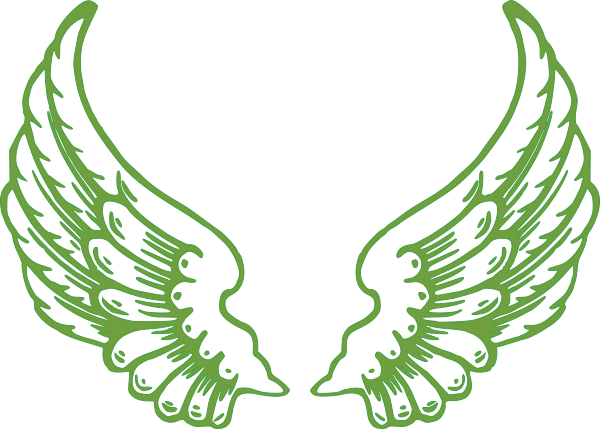 Angel Wings (600x429)